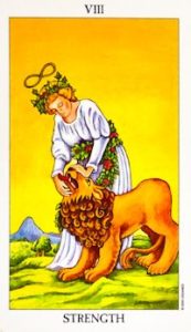 Read more about the article Strength – Tarot career