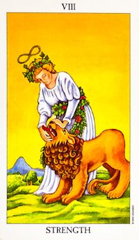 You are currently viewing Strength – Tarot career